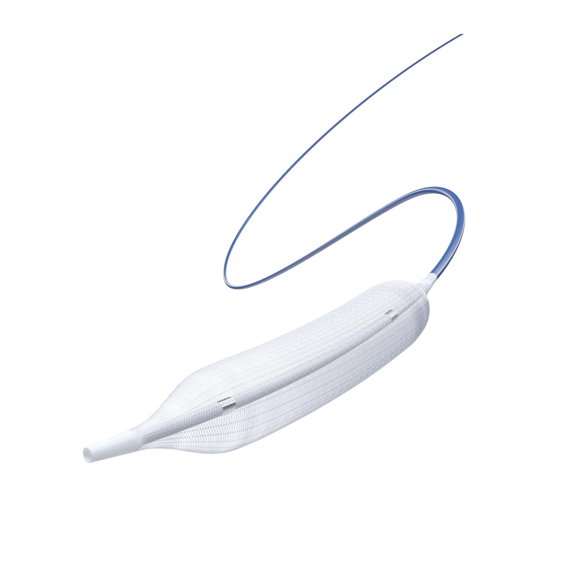 SeaDragon™ PTA Balloon Dilatation Catheter